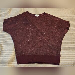 Dressbarn Maroon Sparkle Sweater Top 1X